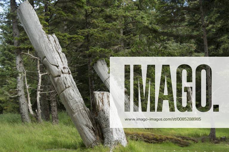 Old Totem ploes at Skedans, Gwaii Haanas National Park Reserve and ...