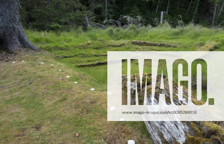 Old Totem ploes at Skedans, Gwaii Haanas National Park Reserve and ...