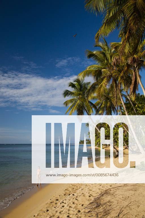 LAS TERRENAS, DOMINICAN REPUBLIC. A woman enjoys a leisurely walk on a secluded beach in Las Terrena