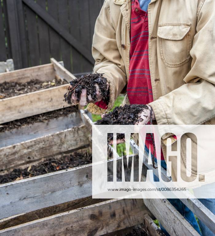 Mid section of gardener holding compost, Halifax Nova Scotia Canada DEJO