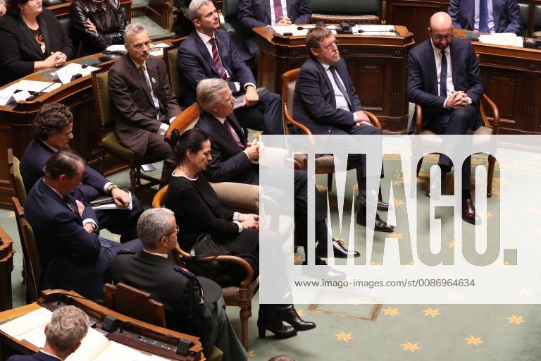 Senate chairwoman Christine Defraigne, King Philippe - Filip of Belgium ...