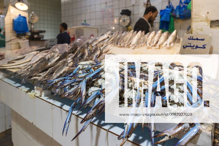 Fish Market Kuwait City Kuwait fishing industry fishing industry