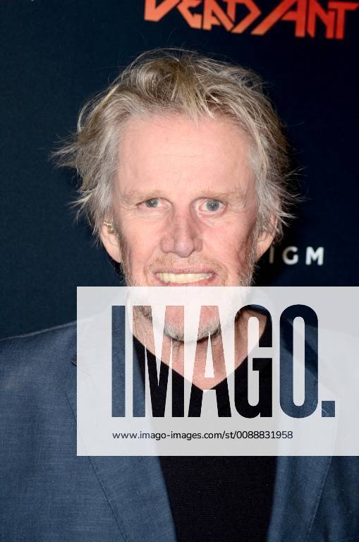 LOS ANGELES - JAN 22: Gary Busey at the Dead Ant Los Angeles Premiere ...