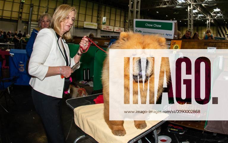 Crufts 2019 hot sale day 4