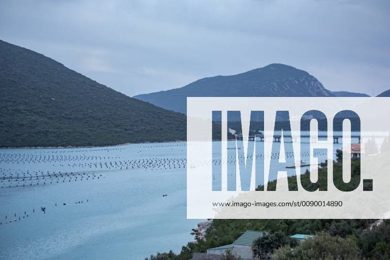 Oyster Noro virus 08.03.2019., Dubrovnik, Ston Oyster farming is