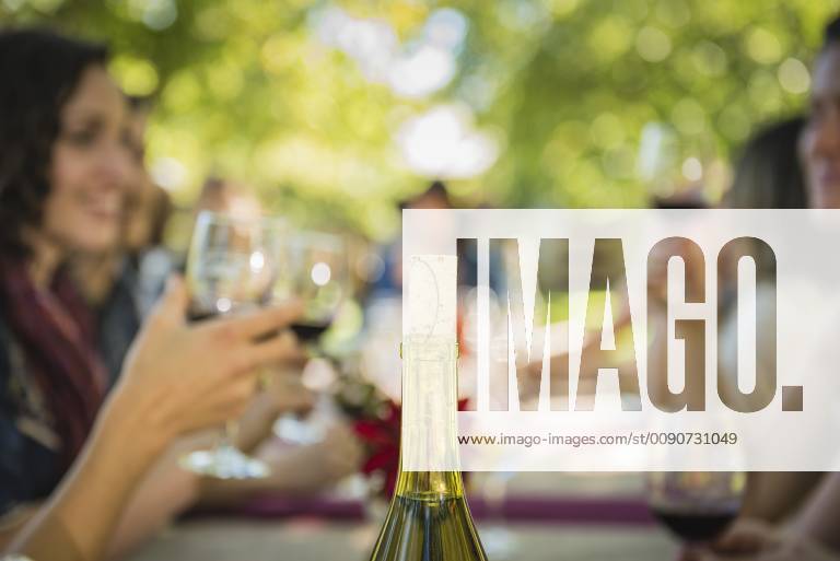 Cork in wine bottle near people drinking wine Cork in wine bottle near