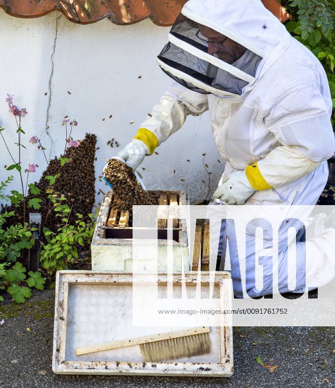 Beekeeper Jesper Muhlig From Denmarks Beehive Association Removes Here ...