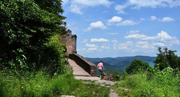 Der Pfaelzer Wald 2019 DEU, Deutschland, Hauenstein: Der Pfaelzer Wald