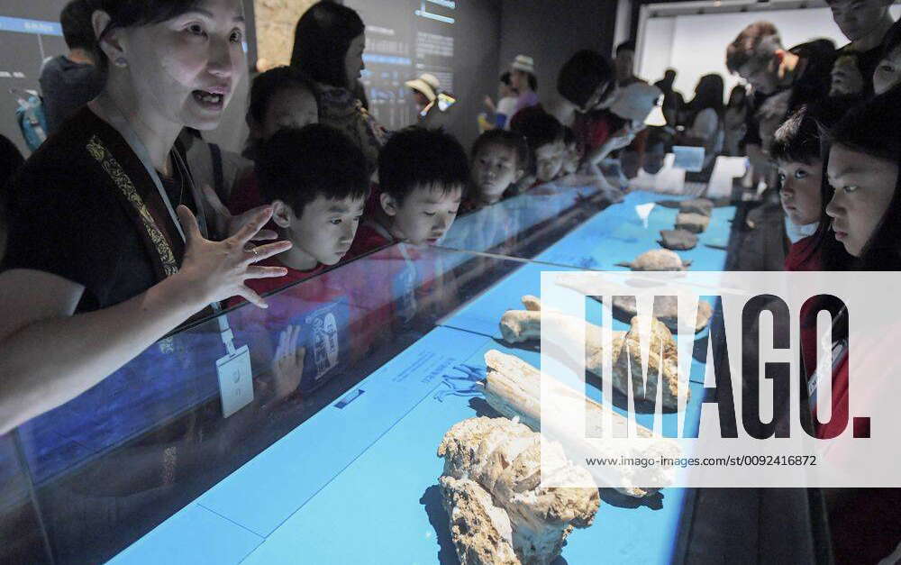 (190724) -- CHANGSHA, July 24, 2019 -- A staff member explains fossil ...