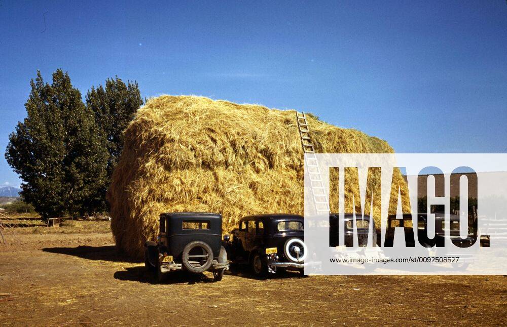Hay stack and automobiles belonging to farm workers, 1944 Hay stack and ...