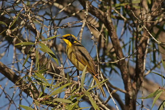 Queensland, Australia