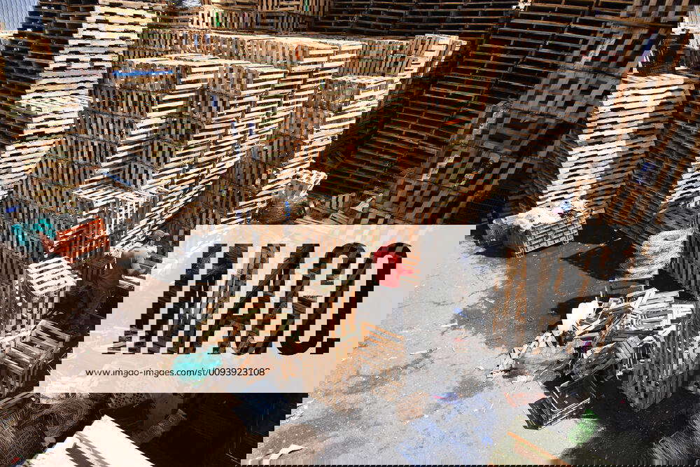 City of the Boxes is a recycling source of Central de Abasto in Mexico