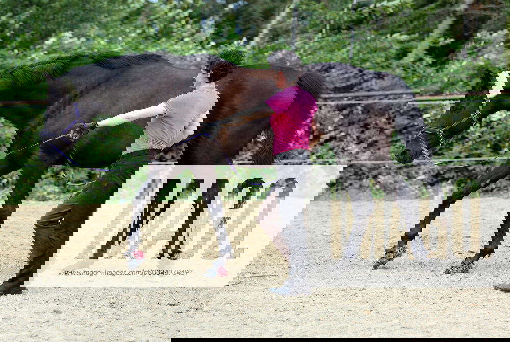 20 07 2019, Mechtersen, Lower Saxony, GER Woman lunging next to her