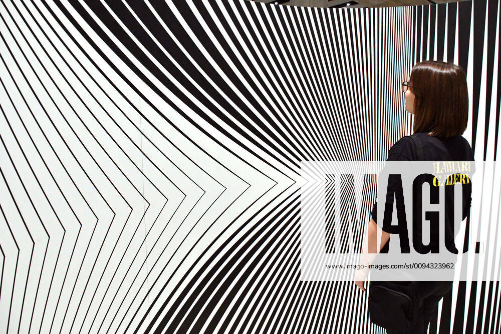 Bridget Riley, Continuum Reconstruction, 1963 2005, at Hayward Gallery ...