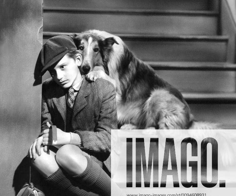 Roddy Mcdowall And Lassie Characters Joe Carraclough Film Lassie Come Home 1947 Director Fred M 