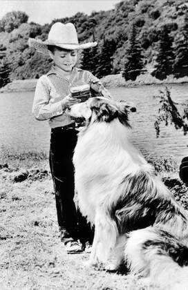 Jon Provost & Dog Film: Lassie (1954) Director: Bonita Granville 12 ...