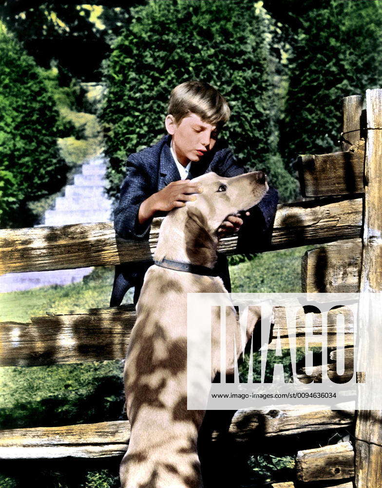 Ronald Cohoon Characters Peter Hunter Film The Incredible Journey