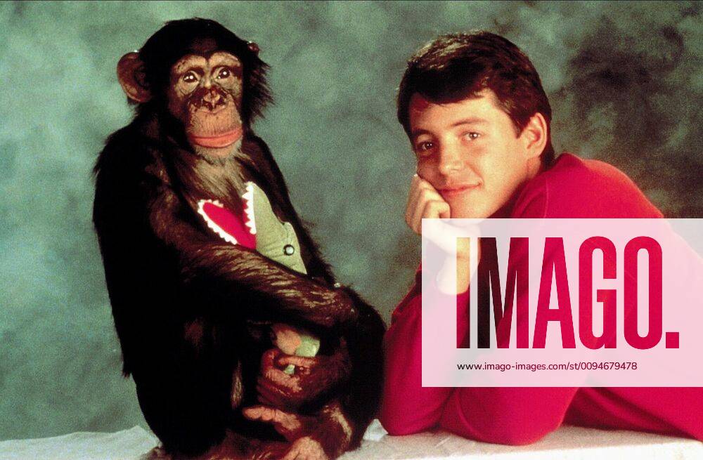 Chimpanzee & Matthew Broderick Characters: & Jimmy Garrett Film