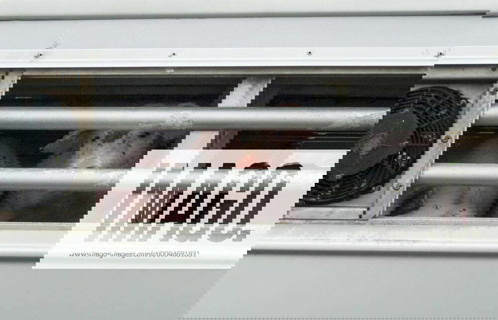 pigs in lorry animal transport animal transports pigs mass animal