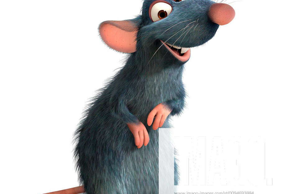 Remy Characters: Remy Film: Ratatouille (USA 2007) Director: Brad Bird ...