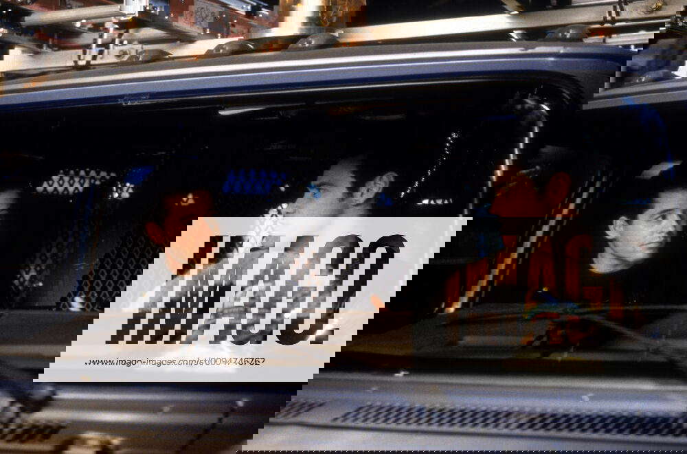 Matthew Broderick & Jim Carrey Characters Steven M. Kovacs, The Cable