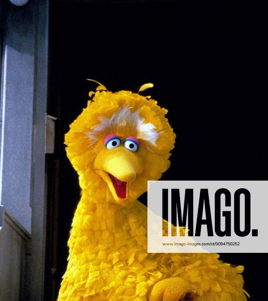 Big Bird Characters: Big Bird Film: The Adventures Of Elmo In ...