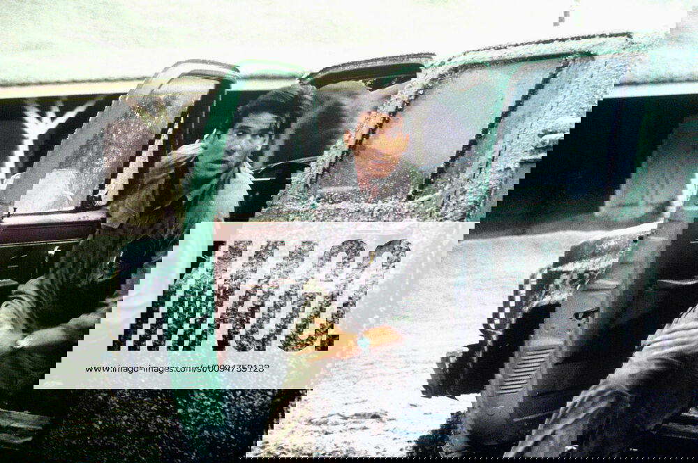 Pierce Brosnan Characters Harry Dalton Film Dante S Peak (USA 1997