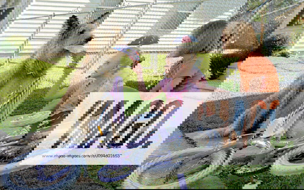 WinnDixie, Elle Fanning & Annasophia Robb Characters ,Sweetie Pie Thomas & Opal Film Because Of