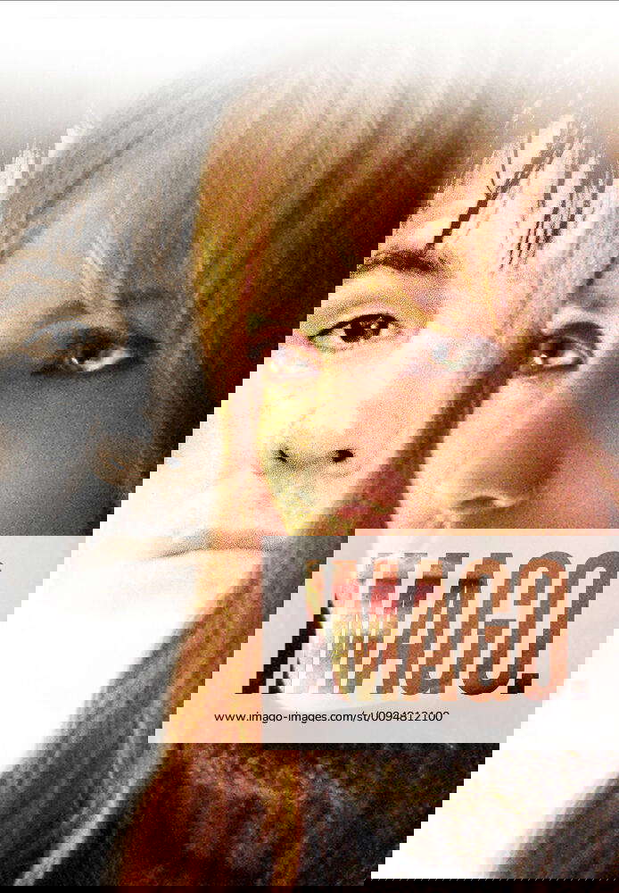 Jennifer Lopez Characters Slim Hiller Film Enough (USA 2002) Director