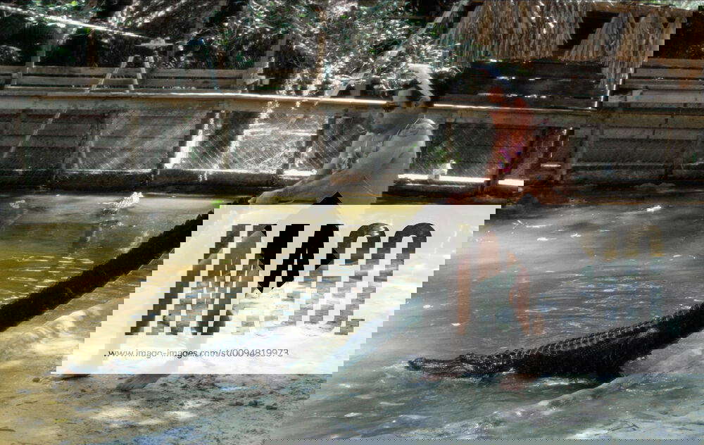 Chris Pontius & Alligator Characters Himself & Film Jackass The