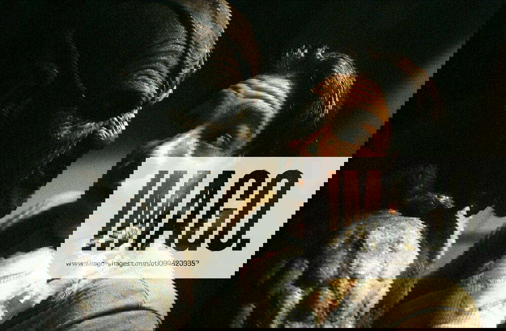 Jonathan Breck & Justin Long Characters The Creeper & Darry Jenner