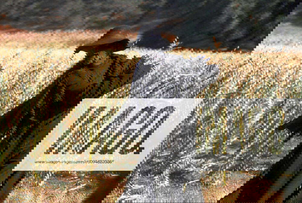 Jonathan Breck Characters The Creeper Film Jeepers Creepers Ii