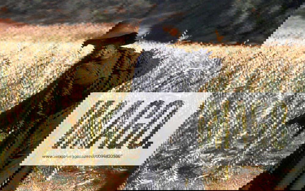 Jonathan Breck Characters The Creeper Film Jeepers Creepers Ii; Jeepers Creepers 2 (USA