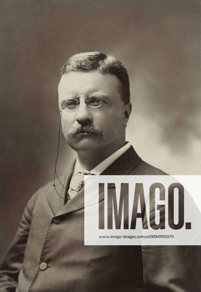 Theodore Roosevelt 1858 1919 26th President Of The United States 1901 09 Half Length Portrait 2256