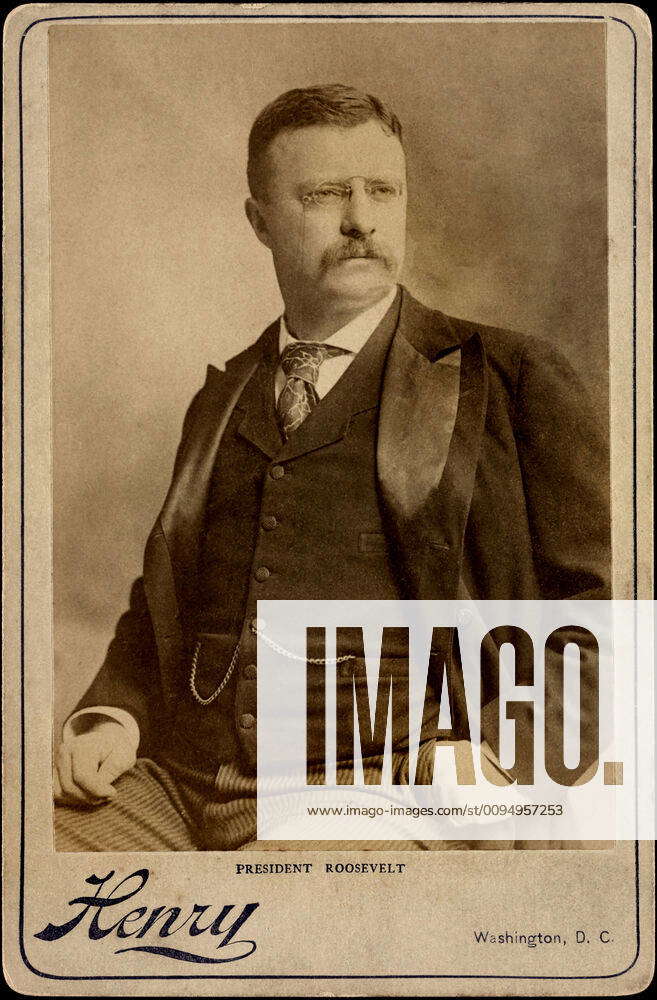 Theodore Roosevelt 1858 1919 26th President Of The United States 1901 09 Half Length Seated 4222