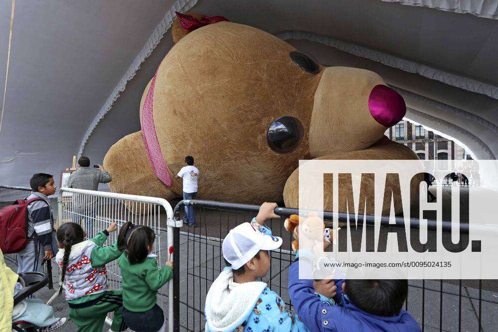 November 13, 2019 EUM20191113SOC01 JPG TOLUCA, Mex SocietySociedad Osa The worlds  largest teddy
