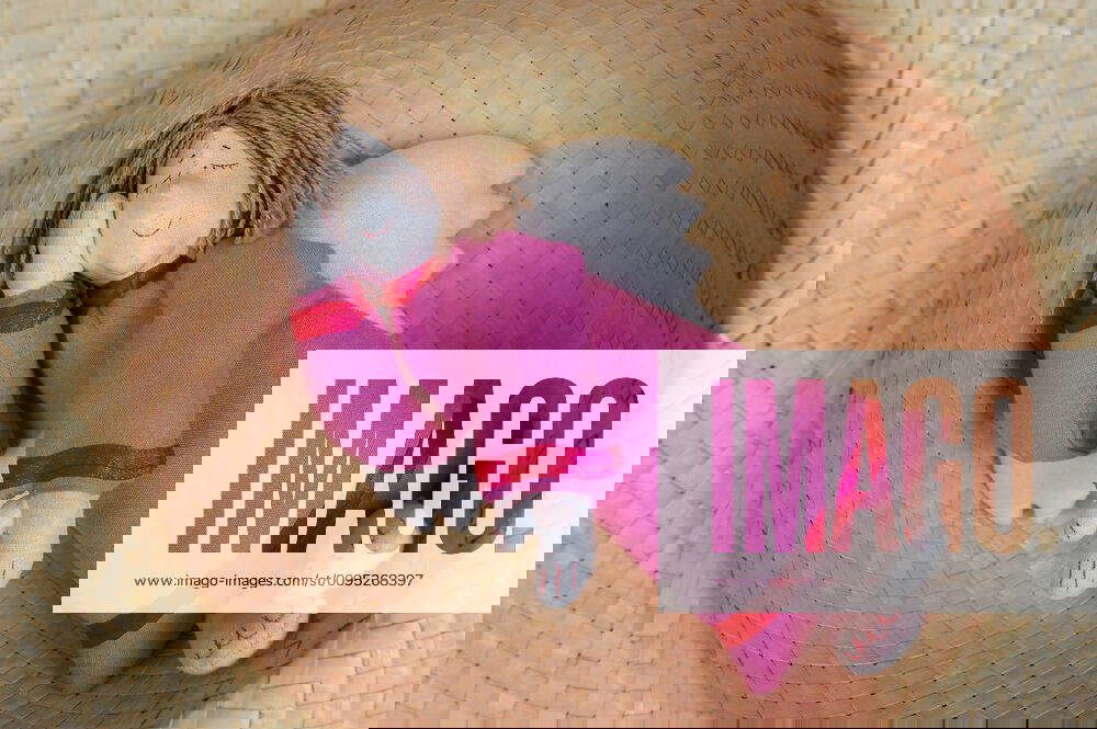 The toy of the sleeping Angel Y