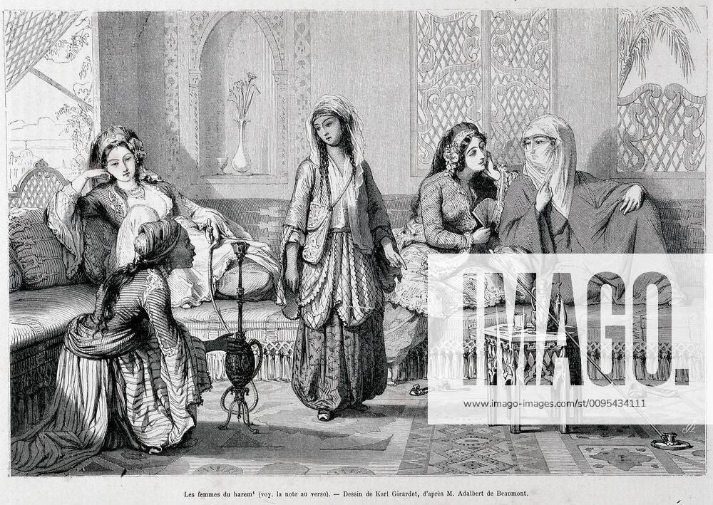 Harem Les Femmes Du Harem Engraving By Karl GIRARDET From A Visit To harem-les-femmes-du-harem-engraving-by-karl-girardet-from-a-visit-to