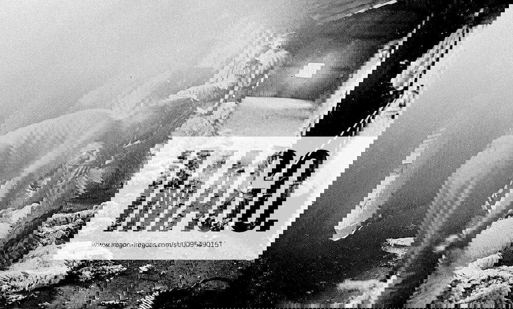 Negative Shearers at Work on Portland Downs Station, Isisford