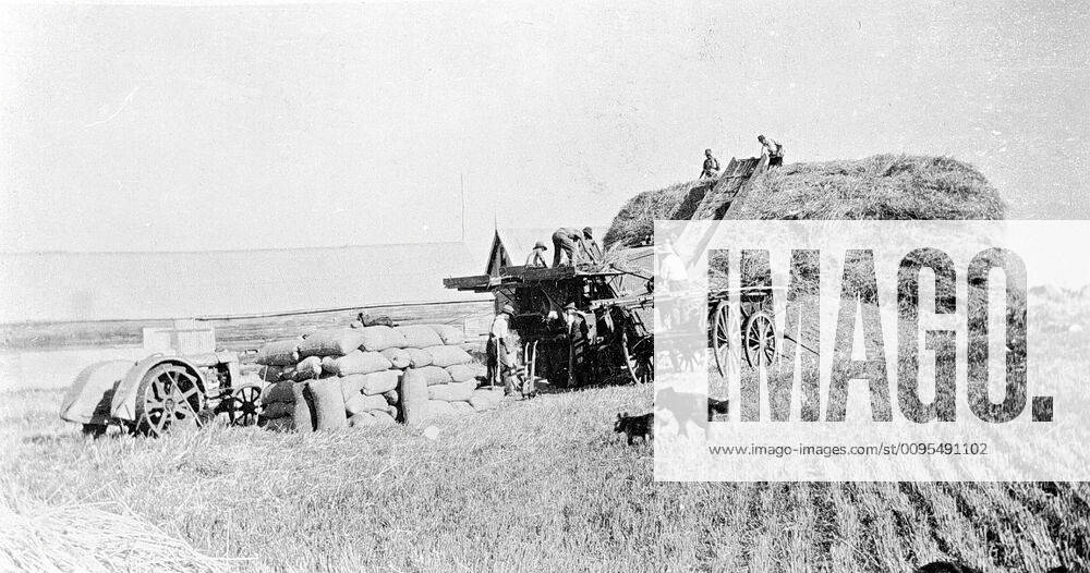 Negative Scotsburn, Victoria, circa 1935, Threshing grain. Copyright
