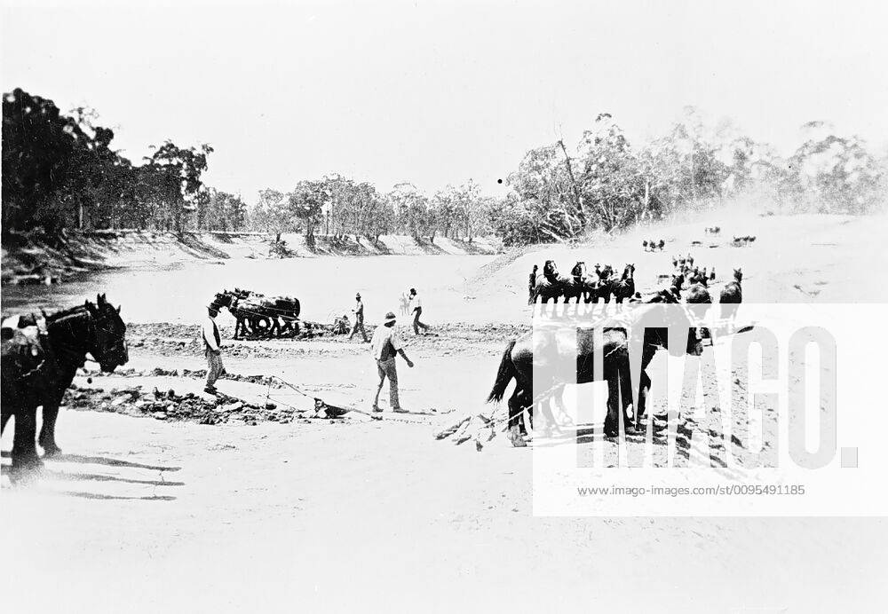 Negative - Barham District, New South Wales, circa 1925, A large number ...