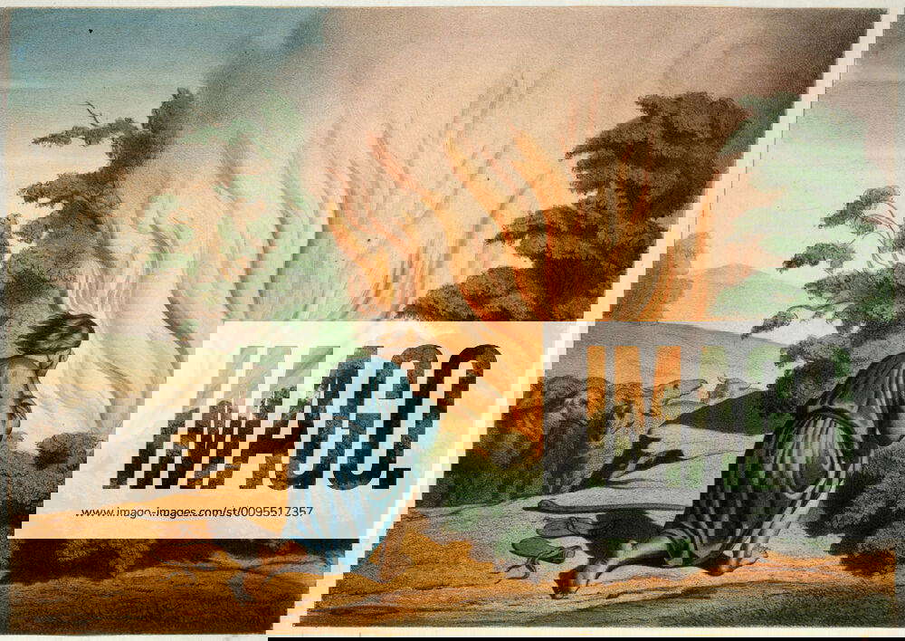 Bible MOISE devant le Buisson Ardent. Panneau d education religieuse de