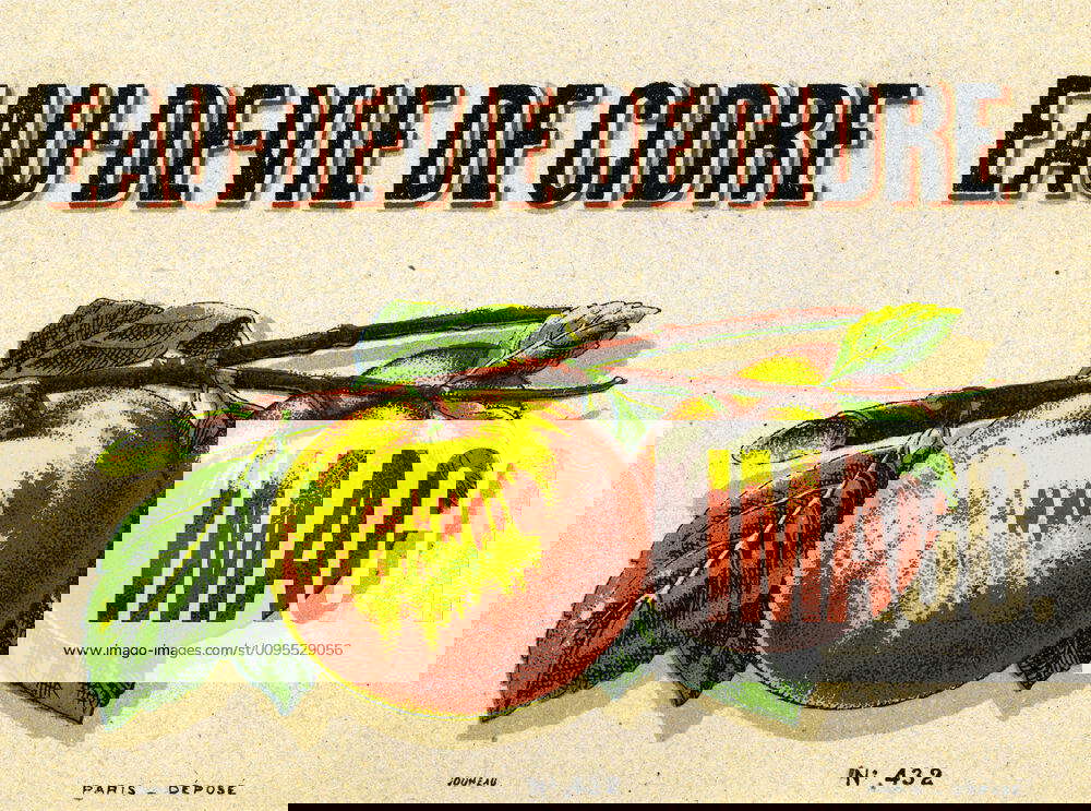 EAU DE VIE Cider brandy Anonymous illustration for an aperitif label around 1920 Credit Collection