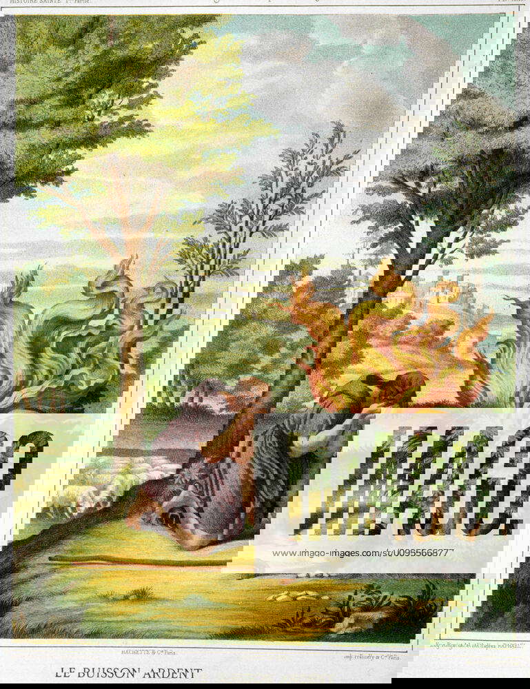 Religion MOISE devant le buisson ardent. Lithographie d apres RAPHAEL