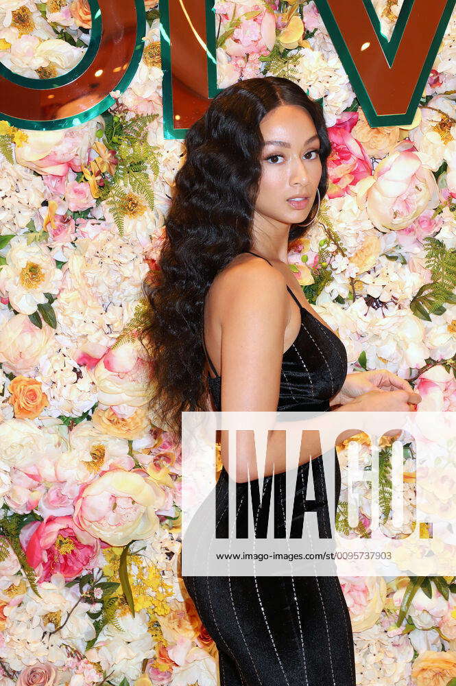 Draya Michele Collection With Superdown - Las Vegas Draya Michele