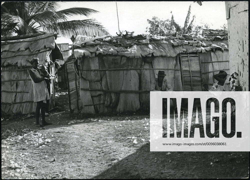 HAITI years 50 Cases covered with banana leaves in Haiti Anonymous ...