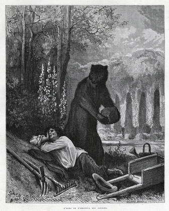 Fable de LA FONTAINE L ours et lamateur des jardins Fable de Jean de La ...