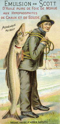 COD LIVER OIL Scott s emulsion of pure cod liver oil Fisherman carrying a  giant fish