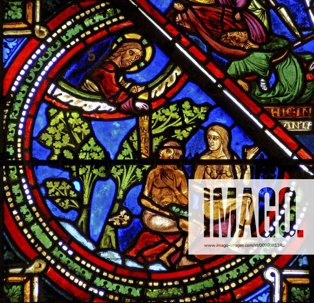 SENS Stained glass Eve ate the forbidden fruit, she and Adam hid their sex  with vine