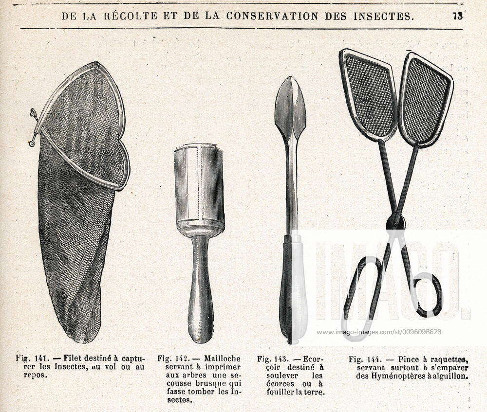 ENTOMOLOGIE Instruments pour la recolte des insectes (Filet Mailloche ...